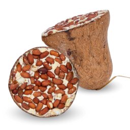 2 x 8 Stk. Lyra Pet® Energie Boost Futterglocke mit Erdnüssen