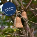 2 x 8 Stk. Lyra Pet® Energie Boost Futterglocke mit Erdnüssen