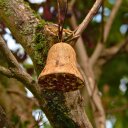 2 x 8 Stk. Lyra Pet® Energie Boost Futterglocke mit Erdnüssen