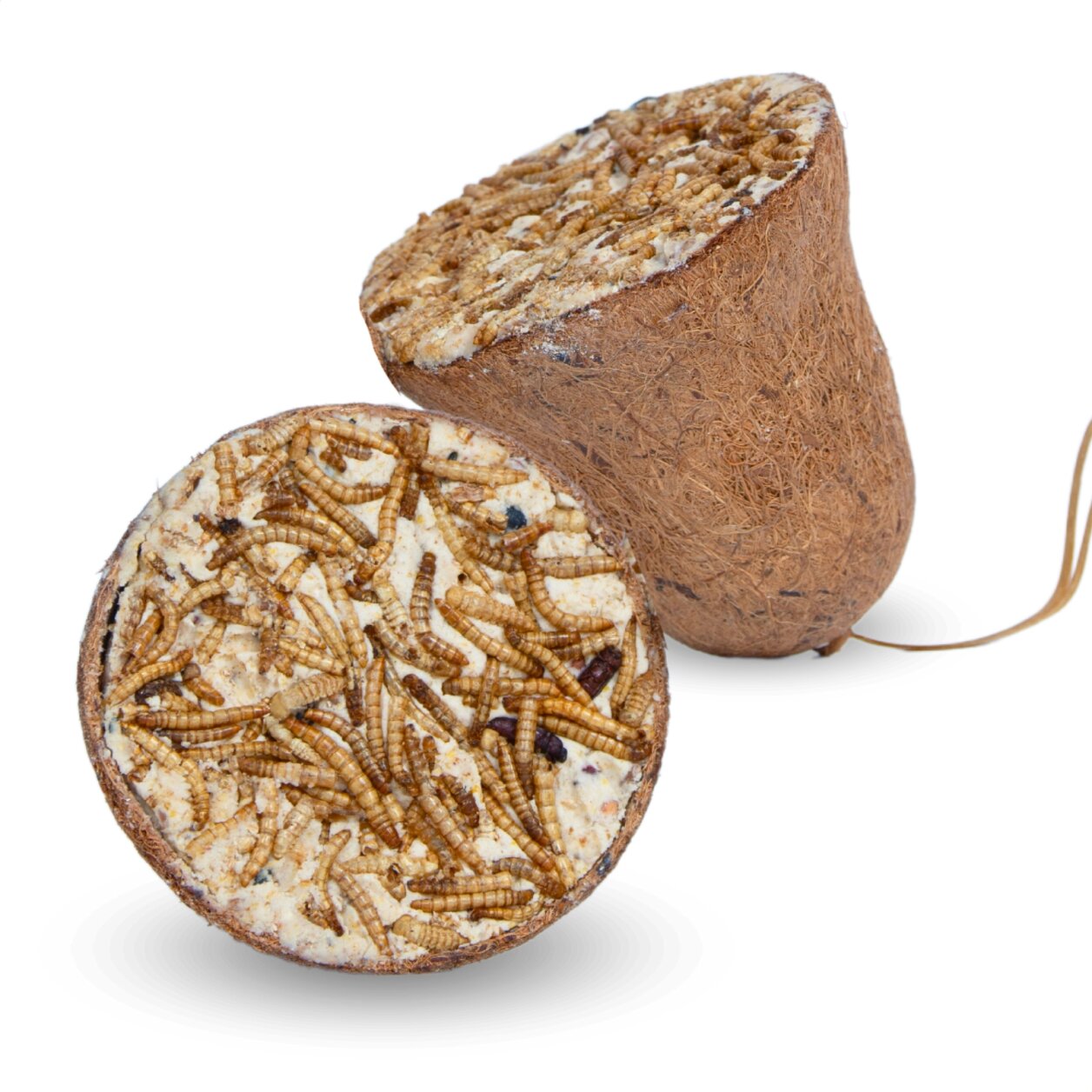 8 Stk. Lyra Pet® Protein Boost Futterglocke mit Mehlwürmern