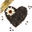 10 kg Lyra Pet® Sonnenblumenkerne schwarz B-Ware