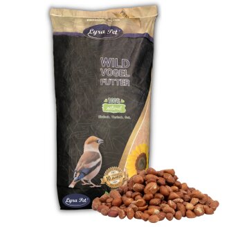 10 kg Lyra Pet® Erdnusskerne mit Haut B-Ware