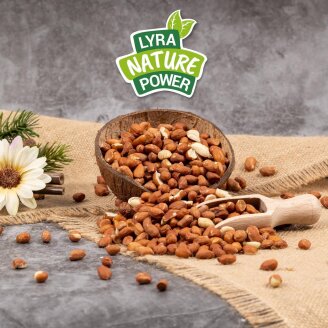 10 kg Lyra Pet® Erdnusskerne mit Haut B-Ware