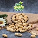 10 kg Lyra Pet® Erdnusskerne in Schoten B-Ware