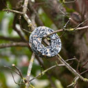 30 - 90 st. Lyra Pet® Energy Boost Tit Ringen