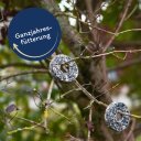 30 x 3 st. Lyra Pet® Energy Boost Tit Ringen