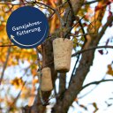 12 - 36 pcs. Lyra Pet® Barre énergétique Boost aux cacahuètes