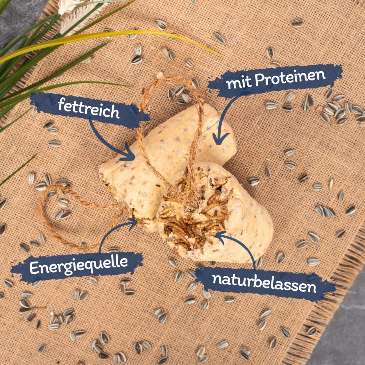 Lyra Pet® Protein Boost Körner Riegel mit Mehlwürmern