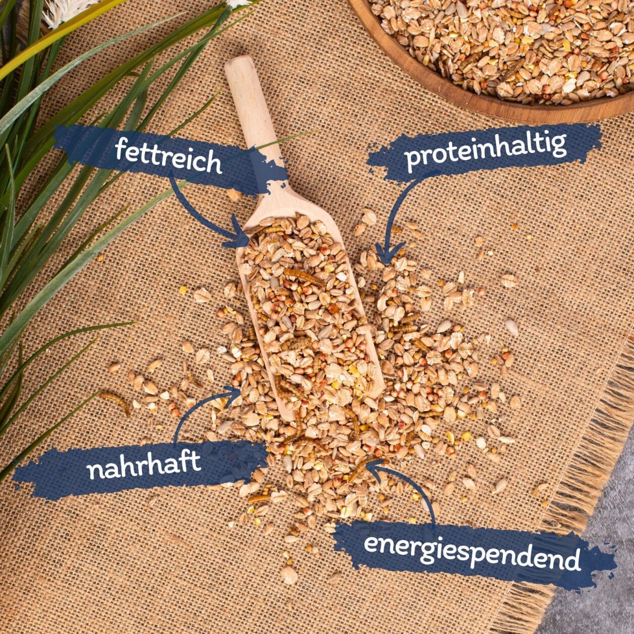 Lyra Pet® Fettfutter aus der ALB-MÜHLE Protein-Mix