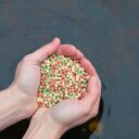 2 x 10 Liter (2,18 kg) Lyra Pond® Pond Colour Mix Light Fischfutter Teichfutter