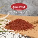 10 - 20 Liter (3,7 - 7,4 kg) Lyra Pond® Pond Colour Astax Koi Pellets Fischfutter Teichfutter