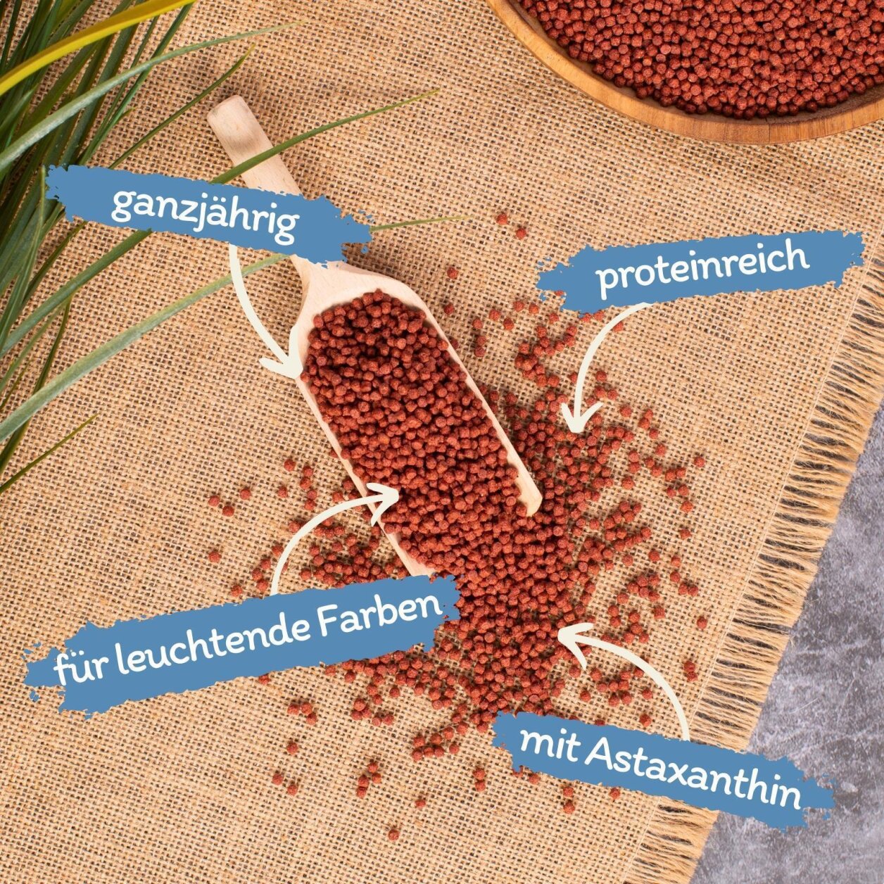 Lyra Pet Lyra Pond Colour Astax Koi Pellets Fisch 2x3,7 kg