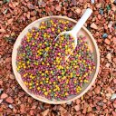 2 x 10 Liter (7,4 kg) Lyra Pond® Pond Allround Koi Mix Fischfutter Teichfutter