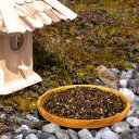 10 kg Lyra Pet® Buchweizen in 30 L Tonne