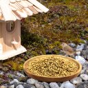 25 kg Lyra Pet® Gerste ungeschält