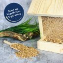 25 kg de blé Lyra Pet