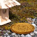 25 kg de blé Lyra Pet