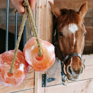 8 stuks Lyra Horse® Roze Kristal Natuurzout Liksteen Zoutliksteen met touw – elk ca. 2-3 kg