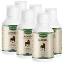 6 x 500 ml Lyra Horse® 100 % Lachsöl für Pferde