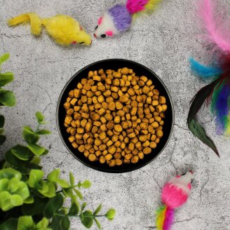 2.5 kg Lecker.Pet® Balus Indoor Gevogelte droog kattenvoer volledig voer