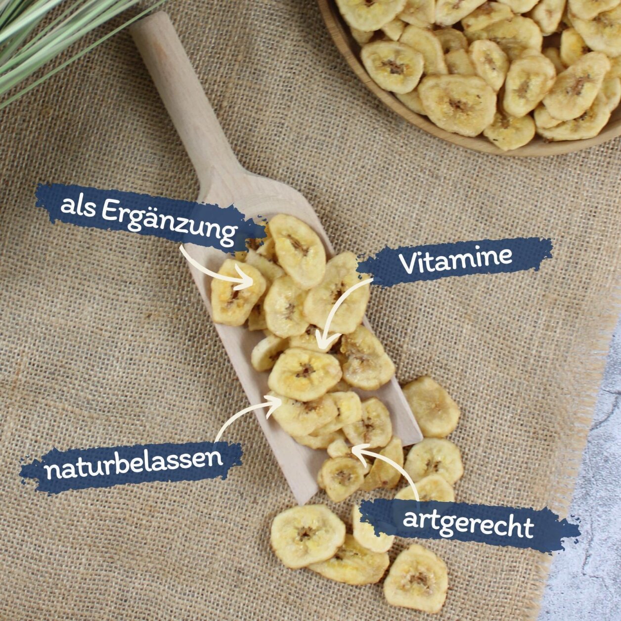 1 kg de bananes Lyra Pet® séchées