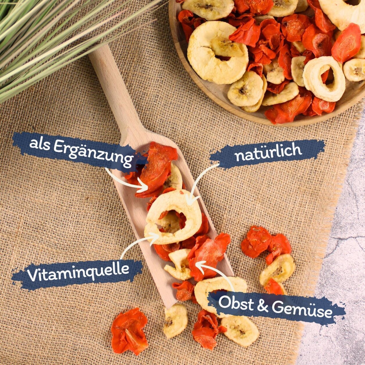 10 kg Lyra Pet® Obst-Gemüse-Mix getrocknet