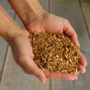 1 - 10 kg Lyra Pet® Garnalen gedroogd