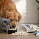 5 kg (25 x 200 g) Lyra Pet® Hühnerbrustwürfel gefriergetrocknet