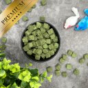 5 kg (25 x 200 g) Lyra Pet® Herbe à chat en cubes lyophilisée