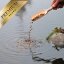 10 Liter (3,7 kg) Lyra Pond® Pond Allround Koi Mix Fischfutter Teichfutter in Eimer