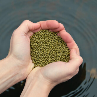 10 litres (3,68 kg) Lyra Pond® Pond Koi Beauty Pellets Staple Nourriture pour poissons de bassin en seau