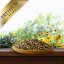 10 kg Lyra Pet® Sonnenblumenkerne Mix in 30 L Tonne
