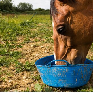3,8 kg Lyra Horse® Multivital Mineralfutter Klassik im Eimer MHD 9/2026