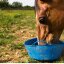 3,8 kg Lyra Horse® Multivital Mineralfutter Klassik im Eimer MHD 9/2026