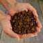 5 x 1 kg Lyra Pet® Insekten Probier Mix getrocknet in 30 L Tonne
