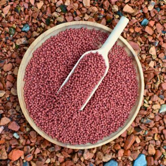 10 Liter (3,7 kg) Lyra Pond® Pond Colour Astax Koi Pellets Fischfutter Teichfutter B-Ware