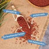 10 Liter (3,7 kg) Lyra Pond® Pond Colour Astax Koi Pellets Fischfutter Teichfutter B-Ware