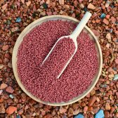 10 Liter (3,7 kg) Lyra Pond® Pond Colour Astax Koi Pellets Fischfutter Teichfutter B-Ware